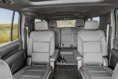 5 Passenger Luxury SUV