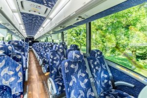 54 Passenger Deluxe Coach